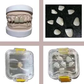 Transparante Tand Plastic de Tanddoos van Membrance van Laboratoriumhulpmiddelen Elastische voor Gebit