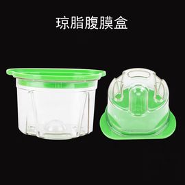 De Hulpmiddelen van het stevig Materiaal Tandlaboratorium Plastic het Dupliceren de Agar-agarmodel van het Flesgebit
